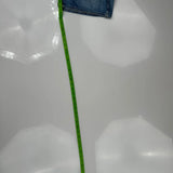 True Religion Denim Shorts - 32W US 8 Blue Denim