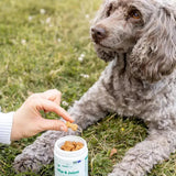 BuddyCare - Hip & Joint