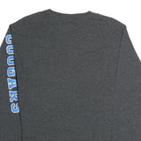 CHAMPION Mens Grey Cal State San Marcos Graphic T-Shirt M Long Sleeve Crew Neck