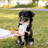 BuddyCare - Skin & Coat