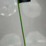 True Religion Denim Shorts - 30W US 4 Dark Wash Denim