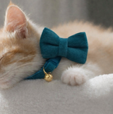 Anypet Small Navy Blue Bow Cat Collar with Safety Buckle, Bell & Durable Adjustable Strap – Stylish Comfortable Pet Accessory for Cats