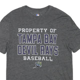 MLB Mens Grey Tampa Bay Devil Rays Baseball Graphic T-Shirt M Crew Neck Short