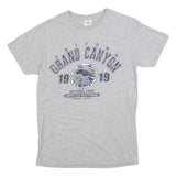 DELTA Mens Grey Grand Canyon 1919 Graphic T-Shirt S Short Sleeve Crew Neck