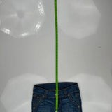 True Religion Denim Shorts - 30W US 4 Blue Denim