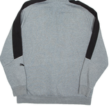 PUMA Mens Grey Hoodie L