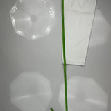 Levis Jeans - 32W 30L White Cotton