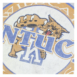 THE GAME Kentucky Wildcats Mens Sweatshirt Grey 90s XL