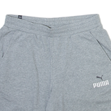 PUMA Mens Sports Shorts Grey Relaxed L W36