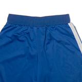 CHAMPION Mens Casual Shorts Blue L W29
