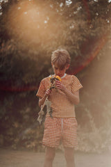 Boys Swim Trunks Sienna Gingham