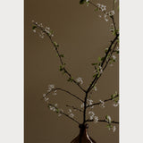 Branches and Blossoms - 4