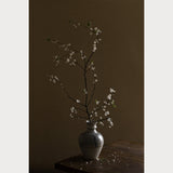 Branches and Blossoms - 8