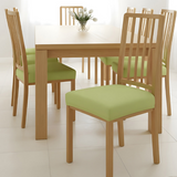 Anyseat Plain Light Green Stretch Chair Cover – Washable, Removable Dining & Kitchen Seat Protector