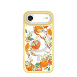 Clear Citrus Blooms iPhone Air Case With Sunbeam Ridge (MagSafe included)