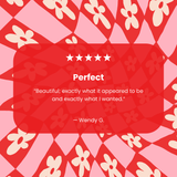 Clear Funky Fleurs iPhone 17 Case With Petal Pink Ridge (MagSafe included)