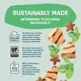 Catnip N Chill 2-pack