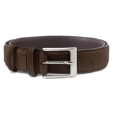Cork Belt in Brown