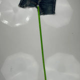 True Religion Denim Shorts - 26W US 0 Blue Denim