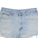 CARHARTT Womens Denim Shorts Blue XL W38