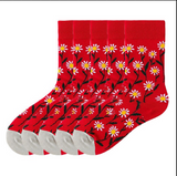 Anyfootwear 5 Pairs Size 5-9 Red Men Women Fashion Socks Cotton Long Crew Socks High Quality Office Business Sports Skateboard Knitted Casual