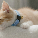Anypet Small Light Blue Cat Collar with Safety Buckle, Bell & Durable Adjustable Strap – Stylish Comfortable Pet Accessory for Cats