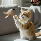 Anypet Stylish Off White Bow Cat Collar Large Size – Cute Bow Design with Safety Buckle, Bell & Durable Strap for Cats & Small Pets