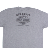 HARLEY DAVIDSON Mens T-Shirt Grey L