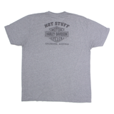 HARLEY DAVIDSON Mens T-Shirt Grey L
