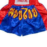 THAIBOXING Mens Sports Shorts Blue Colourblock M W23