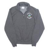 CHAMPION University Of Delaware Mens Sweatshirt Grey 1/4 Zip USA S