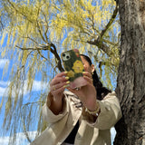 Seashell Full Bloom Google Pixel 8 Case