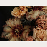 Founders Collection - 2