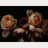 Founders Collection - 5