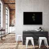 Founders Collection - 6