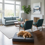 Deluxe Buddy Bed – Advanced Orthopedic Memory Foam Dog Bed for Joint Support