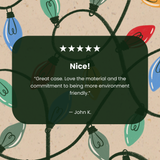 Seashell Holiday Lights iPhone 16 Case