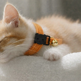 Anypet Small Sunset Orange Cat Collar with Safety Buckle, Bell & Durable Adjustable Strap – Stylish Comfortable Pet Accessory for Cats