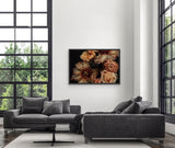 Founders Collection - 2