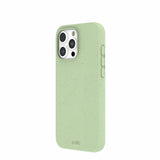 Sage Green iPhone 16 Pro Max Case