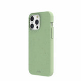 Sage Green iPhone 15 Pro Max Case