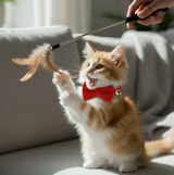 Anypet Stylish Red Bow Cat Collar – Small Size with Safety Buckle, Bell & Durable Strap