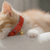 Anypet Stylish Red Cat Collar Large Size with Safety Buckle Bell Durable Adjustable Strap Cute Fashion Pet Accessory for Cats & Kittens