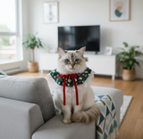 ANYWAGS Christmas Pet Collar – Green Santa Hat, Lace Silk Scarf for Dogs & Cats Holiday Accessories