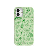 Sage Green Linear Entomology iPhone 16 Plus Case