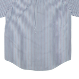 PIERRE CARDIN Mens Shirt Blue Striped L