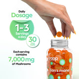 Lion's Mane Mushroom Gummies