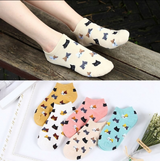 Anyfootwear 5 Pairs One Size 5-9 Candy Color Kitten Summer Invisible Female Fashion Casual Cute Cartoon Short Cotton Ladies Dropship