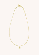Necklace Co-116g Gold