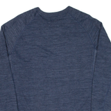 CHAMPION Mens Sweatshirt Blue L